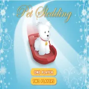 PLay Pet Sledding now!