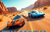 Play Real Drive 3D now!
