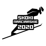 Play Ski Jump 2020 now!