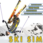 PLay Ski Sim now!