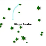 Slope Snake