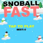 Snowball Fast
