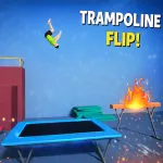 Trampoline Flip