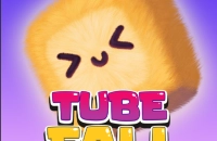 Play Tube Fall now!