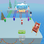 Play Winter Race 3D now!