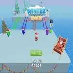 Play Winter Race 3D now!