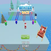 Winter Race 3D