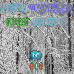 Play Winter Wonderland Forest Adventure now!